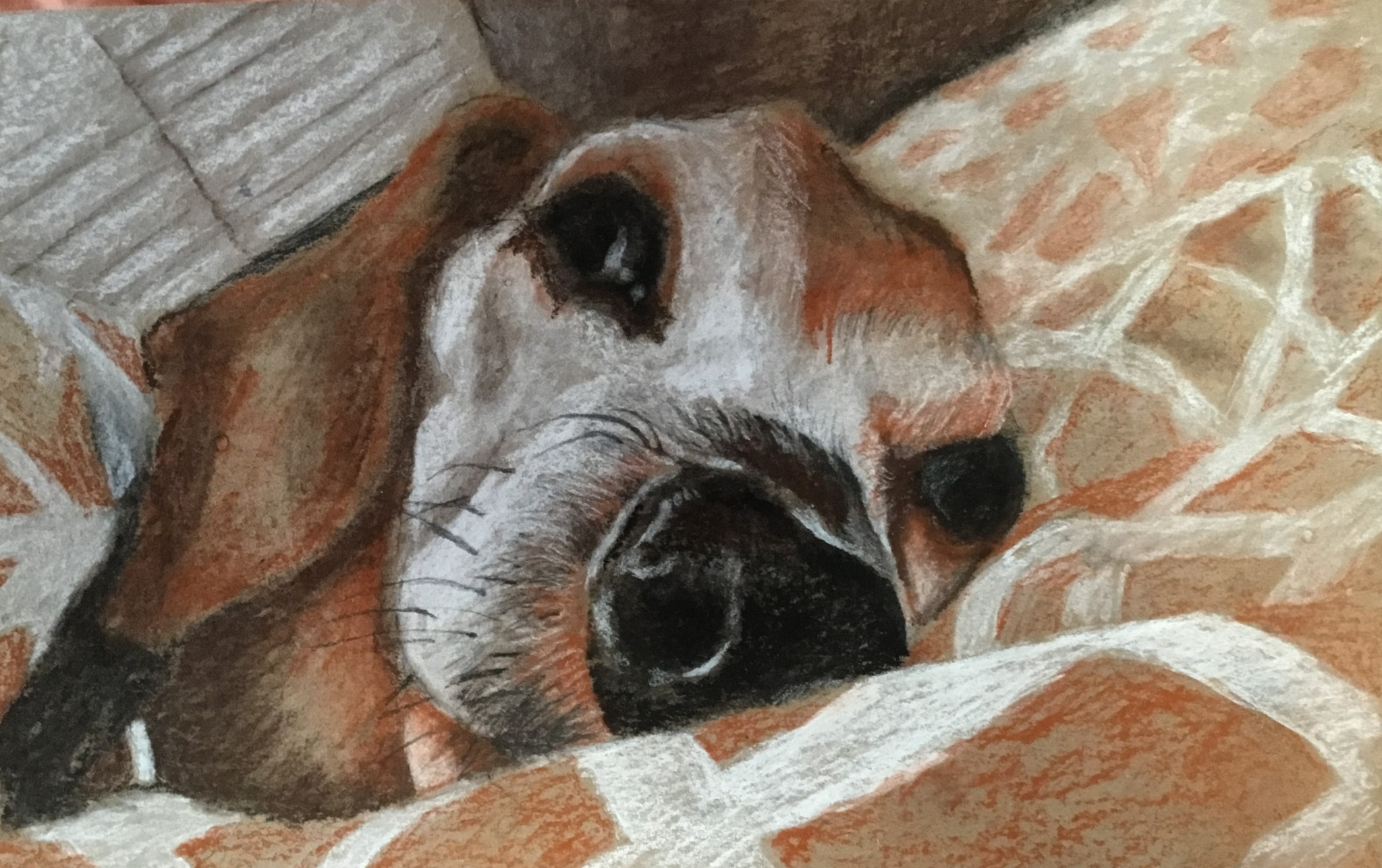 Click here to view Spud the Heat Tube by Heidi Tournoux
