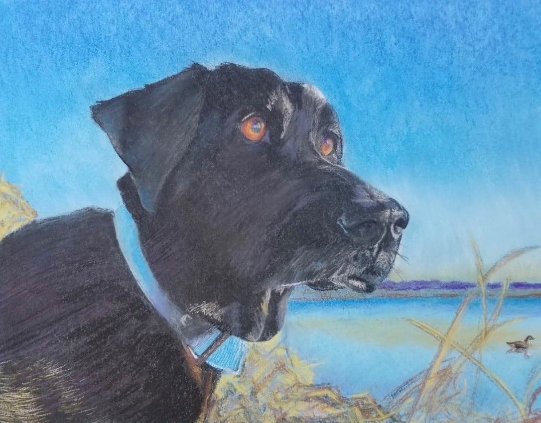 Click here to view Titan Ray by Heidi Tournoux