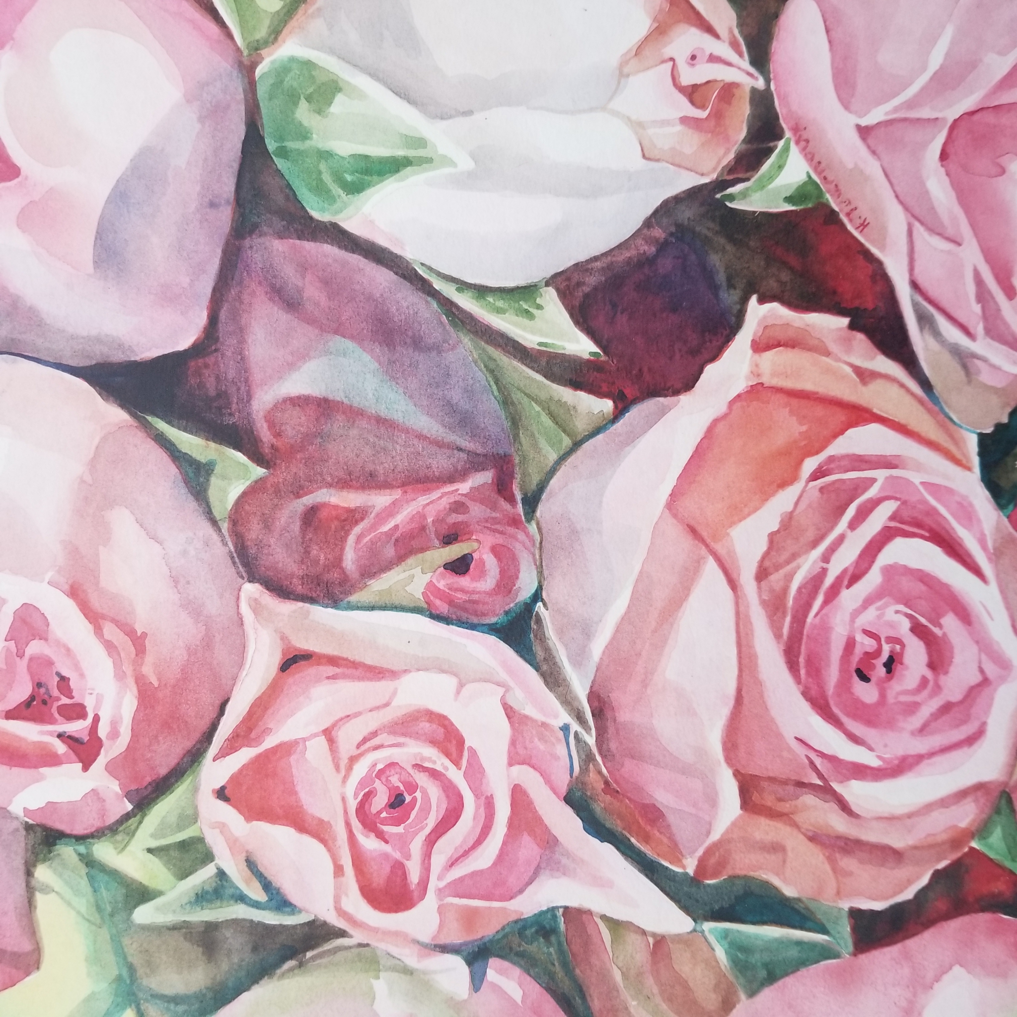 Click here to view Pink Roses by Heidi Tournoux