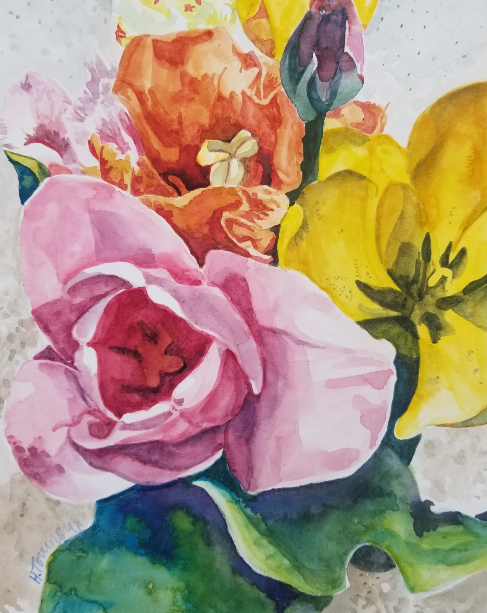 Click here to view Colorful Tulips by Heidi Tournoux
