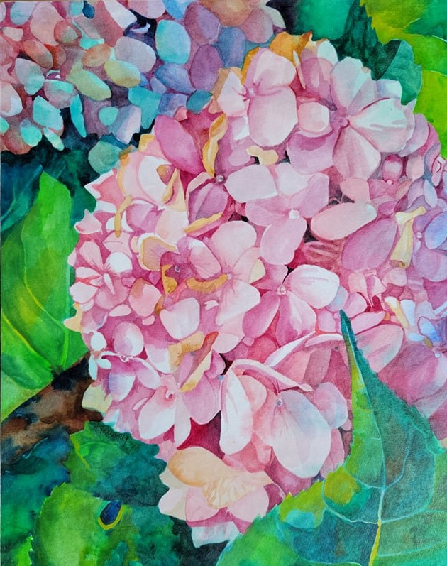 Click here to view Pink Hydrangea by Heidi Tournoux