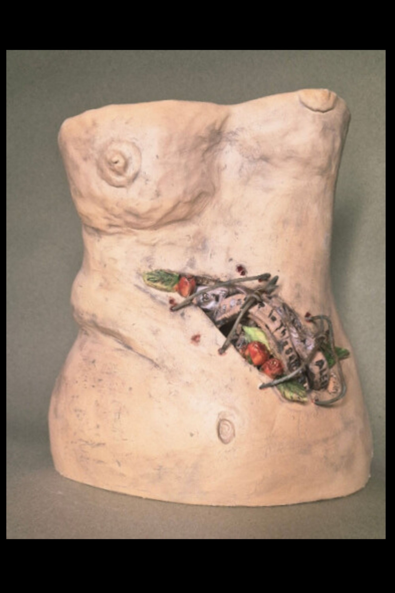 Click here to view Barbed Becoming by Heidi Tournoux